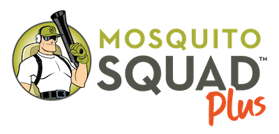 Mosquito Squad